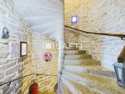 photo no. 1
