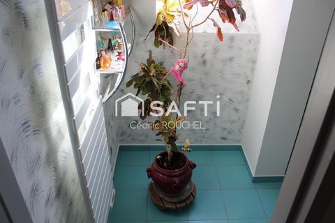 photo no. 5