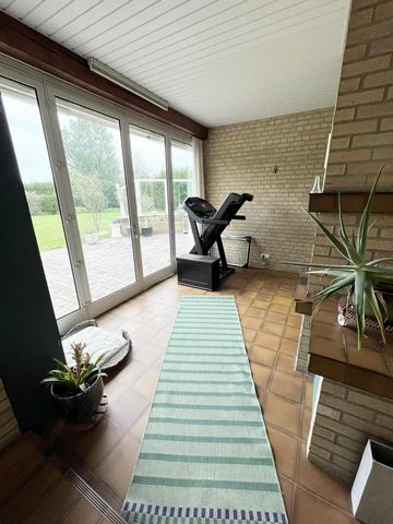 photo no. 17