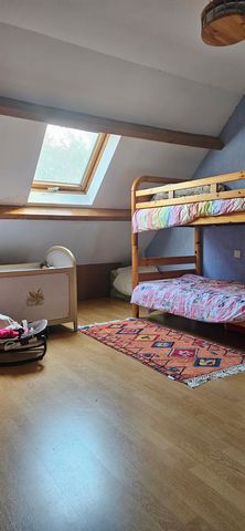 photo no. 12