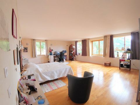 photo no. 1
