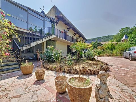 photo no. 11