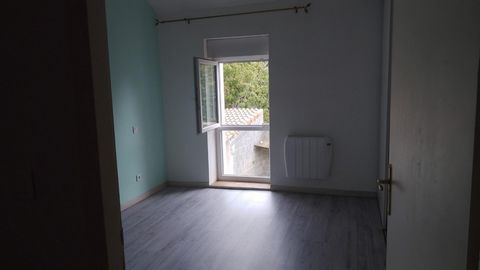 photo no. 4
