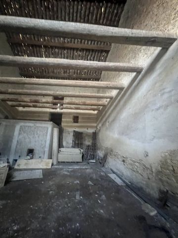 photo no. 3