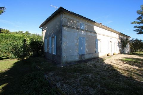 photo no. 1