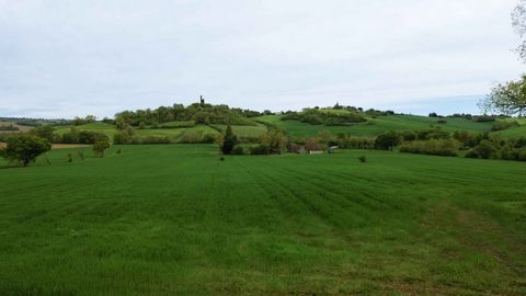 photo no. 13