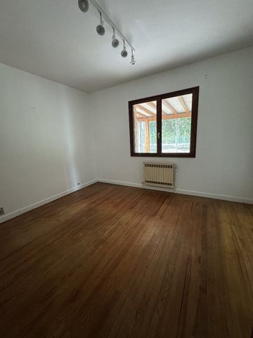 photo no. 9
