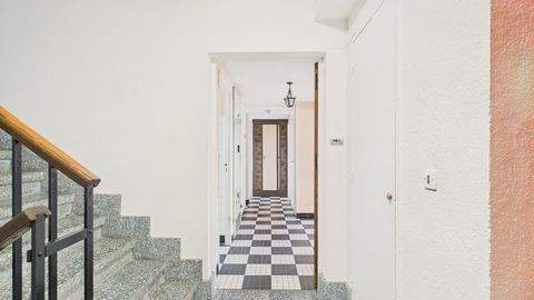 photo no. 7