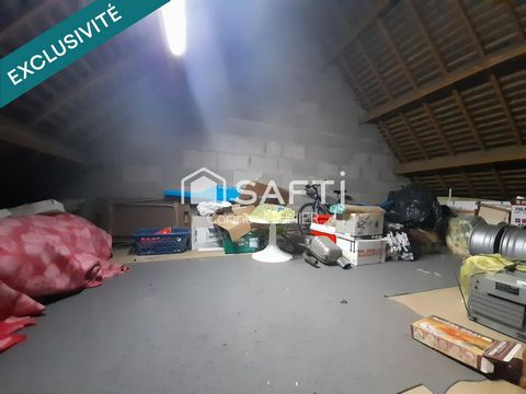 photo no. 14