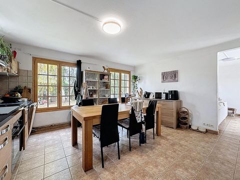 photo no. 12