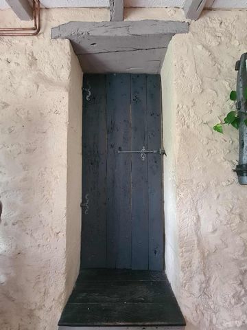 photo no. 5
