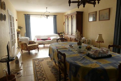 photo no. 8
