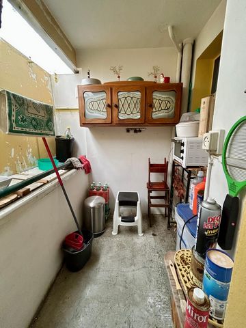 photo no. 8