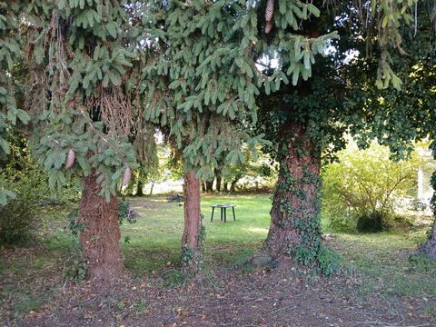 photo no. 9