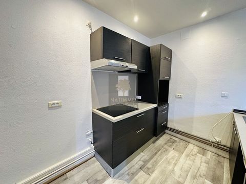 photo no. 7