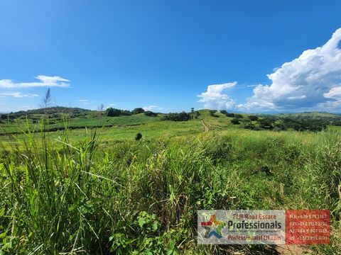 - FREEHOLD TITLE! (no property taxes or land lease payments!) - EXCLUSIVE: very few freehold residential lots available near the tar-sealed Suva-Nadi highway - All lots under separate titles - 1/4 acre parcels just waiting for your dream project to b...