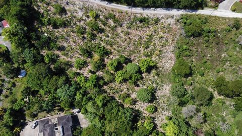 Gently sloping 2 acre residential lot in cool, tranquil hills overlooking Runaway Bay and Cardiff Hall area. Few large surrounding houses are upscale which makes this lot ideal for constructing your dream home or second retreat home in a resort area....