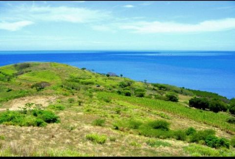Продается 18 акров земли в собственность с прекрасным видом на море в Туву. Недвижимость может похвастаться красивым холмистым ландшафтом и предоставляет возможности для разделения и увеличения вашего богатства. Идеально подходит для развития пенсион...