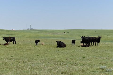 Wright's Farm & Ranch located in Washington County, CO has been in the same family for over 75 years! The rare opportunity to purchase a farm and ranch combination of this magnitude in Eastern Colorado doesn't come around very often. Wright's Farm & ...