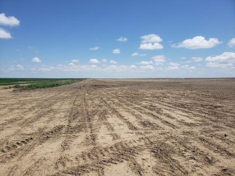 Wright's Farm and Ranch Parcel 12 is a 160 +/- acre parcel of dryland farm ground. This parcel has a crop share lease for the 2023 crop season with the owner's share going to the Buyer. This parcel would be a great opportunity to add to your investme...