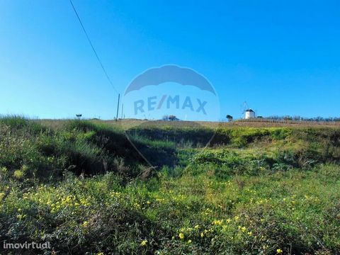 Agricultural land of 10,320 m2 in Moita dos Ferreiros, Lourinhã. Land solely for agricultural purposes, with a slight slope and good access by road. With treatment tanks and electric light on the access road. Unobstructed and panoramic views. Near th...