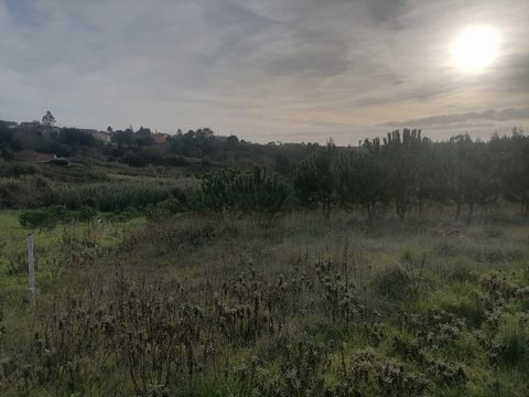 Land in Ribafria, Benedita. Land with 2602 m2. Composed of an urban building intended for storage and garage and with feasibility for possible construction of a villa.