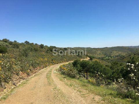 Plot of land in Alcoutim overlooking the River Guadiana.It is possible to pass with sailboats Class C on the river.Ideal for those who enjoy being in the nature.