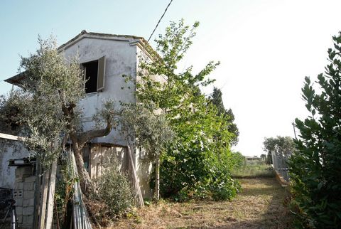 W Cologna Paese, w miejscowości Cupo Biancucci, około pięciu kilometrów od gminy Roseto degli Abruzzi, do której należy, oferujemy do sprzedaży niezależny dom z widokiem na morze zbudowany na dwóch piętrach z tarasem i różnymi aneksami, a także prywa...