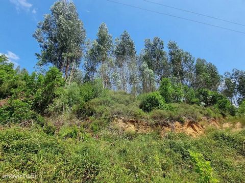 Land of culture, pine forest and bush with an area of 1480m2, located in Vale Tronco, parish of Friúmes and municipality of Penacova.   Important note: the land is not suitable for construction.   Vale do Tronco belongs to the Union of Parishes of Fr...