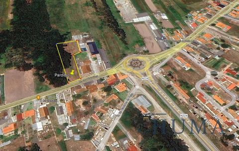 Rustic land with feasibility of construction in Pardilhó, Estarreja. Near the access of the bypass that gives access to the junction of the A29 in Estarreja, and a few minutes from the ECo park. Land with about 2400 m2 and 20 mts of front.