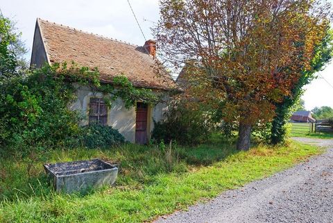 10 minutes from Digoin, 20 minutes from Dompierre sur Besbre, in the countryside in a pleasant setting 200 m from the banks of the Loire, old house of two rooms current, to renovate with convertible attic + old barn that can be converted on two curre...