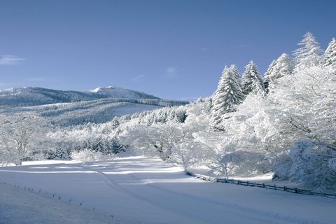 Este hermoso apartamento para un máximo de 5 personas está ubicado en un edificio de apartamentos en el idílico pueblo de Kleinarl en Salzburgerland. Kleinarl se encuentra a 1.014 metros de altitud en el límite del parque nacional Hohe Tauern. El edi...