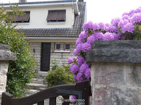photo no. 16