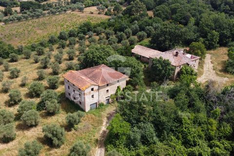 Podere Borgia è una proprietà costituita da più edifici con destinazione abitativa ed agricola per complessivi 2000 mq. (casa padronale, stalle, fienile, magazzini). Posto a ridosso delle rive del lago Trasimeno in posizione semi-collinare da dove è ...