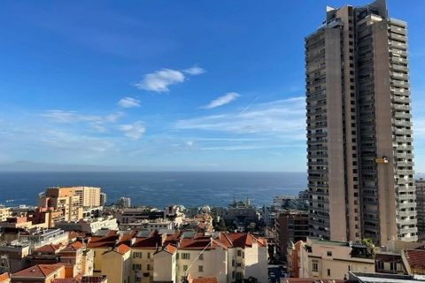 Questo appartamento, in ottime condizioni, è stato recentemente ristrutturato ed è idealmente situato sulle alture di Beausoleil, a soli 3 minuti dal Principato di Monaco, con una splendida vista sul mare, Monaco e sulle colline circostanti. Comprend...