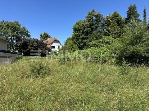 Wij bieden een grote bouwkavel te koop aan op een uiterst aantrekkelijke locatie in Weilburg. Het pand wordt gekenmerkt door een uitstekende infrastructuur en biedt een royaal bouwraam. Het is te plannen met een woonoppervlak van ruim 300 m² en is id...