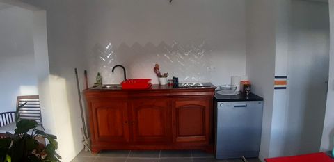 photo no. 6