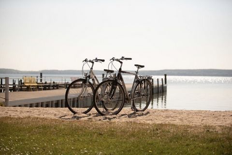 Bezpośrednio nad Plauer See: Przyjazny rodzinom park wakacyjny z prywatnym dostępem do jeziora, kąpieliskiem z molo i wspaniałym krytym basenem z oazą wellness w pięknym klimatycznym uzdrowisku Plau am See. W wolnym od samochodów parku wakacyjnym na ...