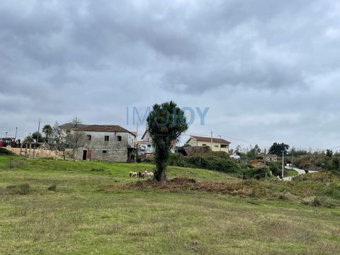 Gemengd land (met rustiek deel en stedelijk deel) Locatie: Rande, Milhundos, op slechts 9 minuten van de historische stad Penafiel. Uitstekende gelegenheid voor diegenen die op het platteland willen wonen, maar met de nabijheid van de voorzieningen v...