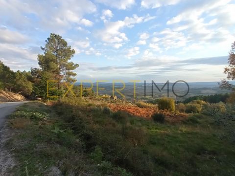 Cod. Ext. 7084 QUINTA EM SOCALCOS, paisagismo e local ideal para turismo Numa das vertentes NE da Serra da Estrela, encontra esta propriedade com 12.116 m², que deve visitar obrigatoriamente. - Um local onde a Natureza e tranquilidade promovem a paz ...