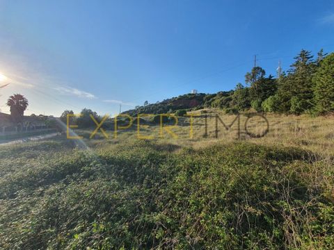 EXT.COD. 7093 Land for construction, with 4,640 m2 of land. Very quiet area, with excellent sun exposure, stunning views. Located just 15 minutes from the city of Caldas da Rainha, Óbidos Castle 5 minutes, Foz do Arelho beach 20 minutes away, São Mar...