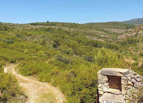 This finca has an old ruin but would be perfect for a mobile home, the water would be from a cisterna and the electric would be solar