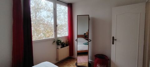 photo no. 17