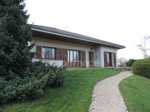 photo no. 2