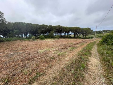 The privacy and security of this land is guaranteed by the wooden fences, which we found along its entire length. It has a hole 310 meters deep, which is legally authorized by the Portuguese Environment Agency (APA), thus allowing the establishment o...