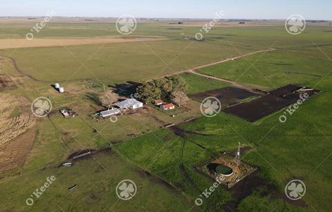 GEMISCHTES FELD VON 1440 HEKTAR ZUM VERKAUF MIT 40% LANDWIRTSCHAFTLICHER FLÄCHE - INTERESSANTE PRODUKTIONSEINHEIT Lage: Der Platz befindet sich 9 km von Paraje Santa Luisa und 17 km von der Route 51 in der Stadt Olavarria entfernt. Ausgezeichneter Zu...