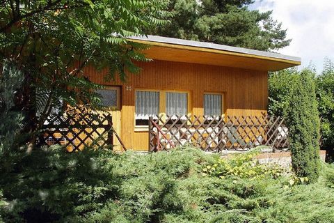 Gut versteckte kleine Ferienanlage inmitten üppiger, grüner Natur direkt am Grundlossee zwischen Wittstock und Röbel. Direkt am Grundstück befindet sich ein Angelsee mit Fischbesatz, Angelscheine können vor Ort erworben werden. Zu den beliebtesten Fr...