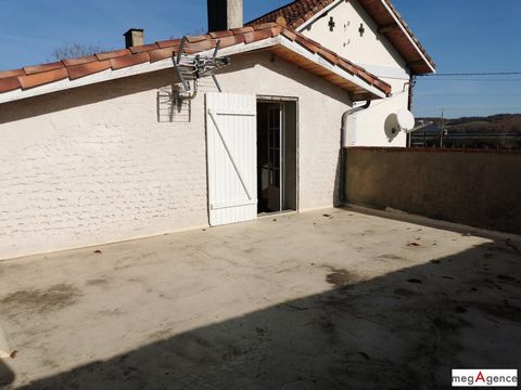 photo no. 11