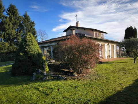 photo no. 16