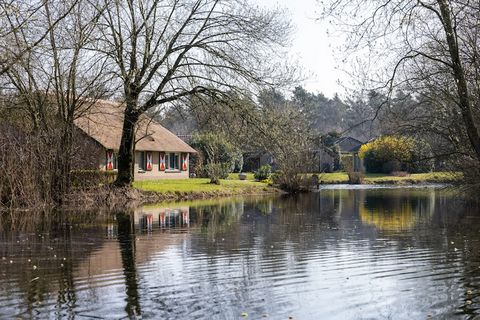 Este bungalow separado se encuentra en el hermoso parque de vacaciones de Veluwse Hoevegaerde, en medio de la naturaleza ya solo 15 km de Hardwijk. El bungalow de la planta baja está amueblada de una manera cómoda y completa. Hay una sala de estar co...